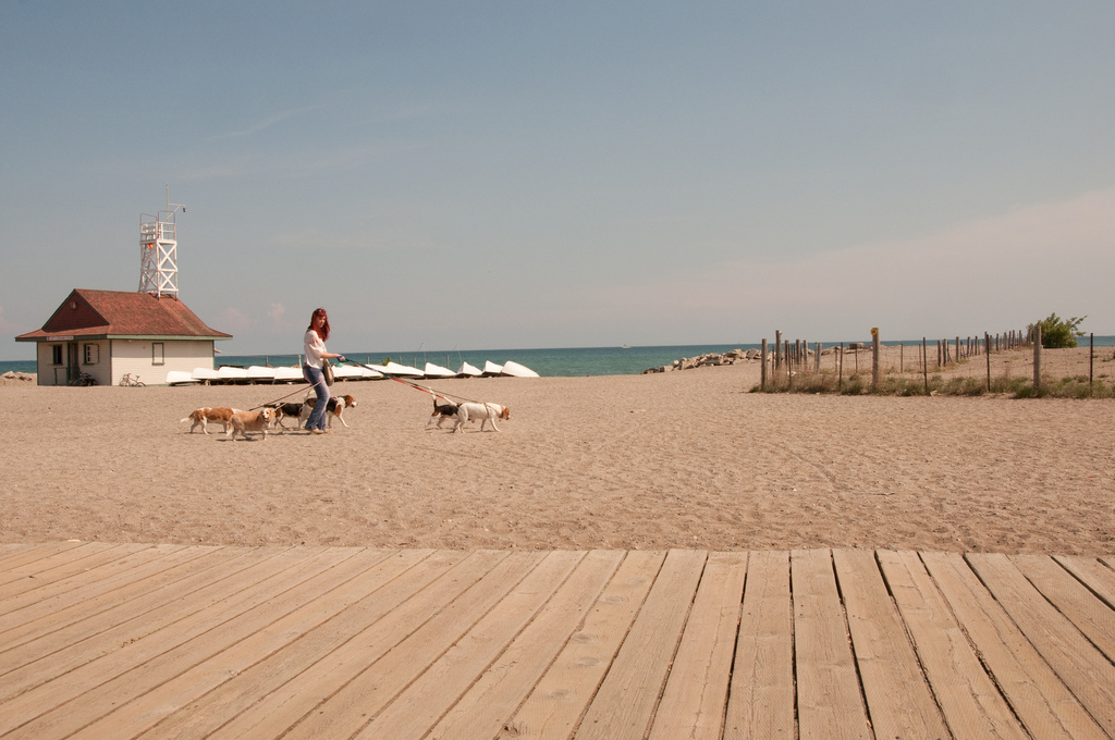 the beach in toronto