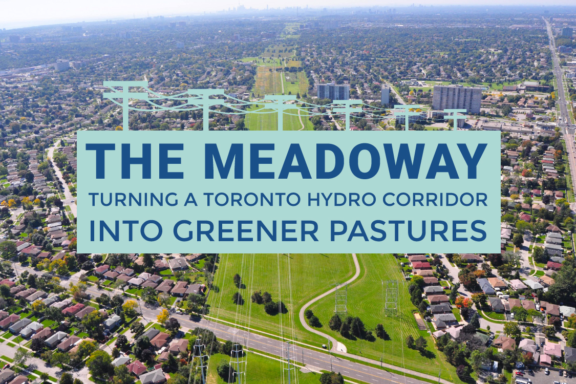The Meadoway: Turning A Toronto Hydro Corridor Into Greener Pastures