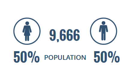 population 9,666 50% women and 50% men