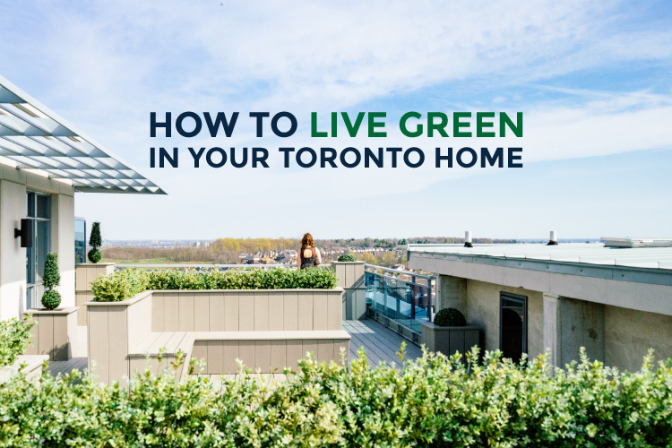 how to live green in your toronto home