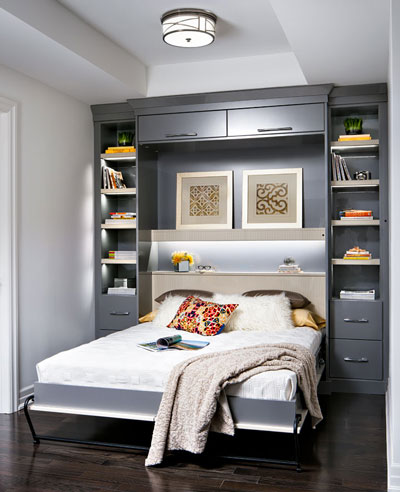 Condo Den Design Ideas Murphy Bed