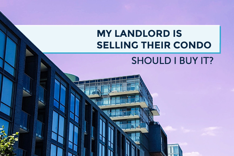 buy-your-landlords-condo