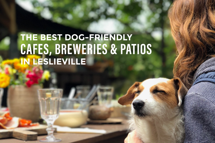 dog-friendly-cafes-leslieville
