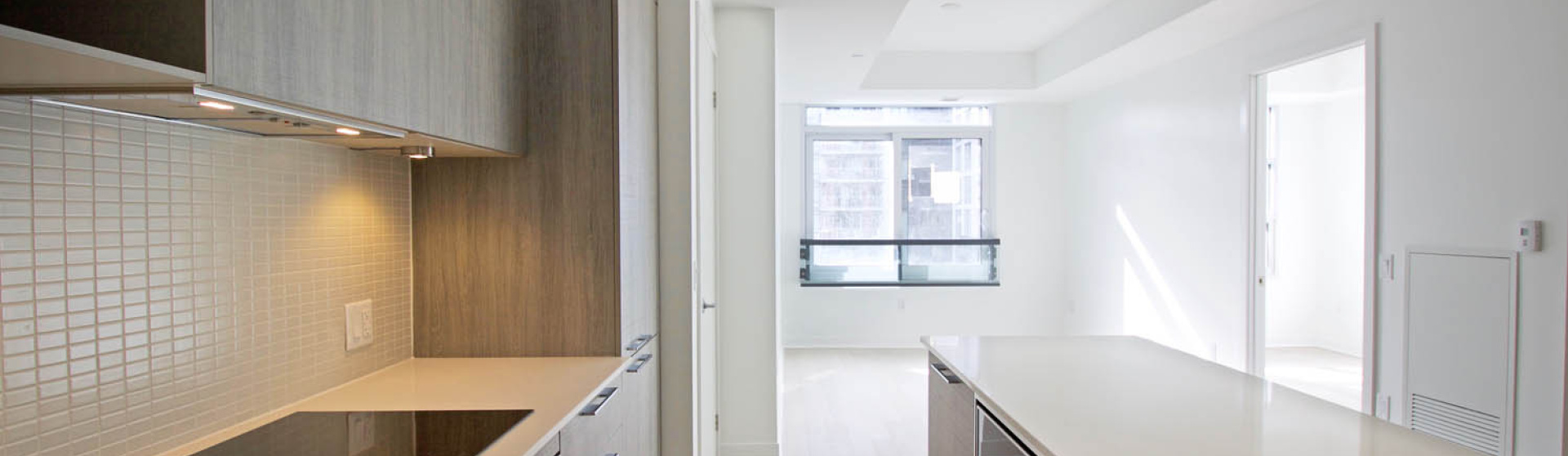 #808 -501 ADELAIDE ST W, Canada, 1 Bedroom Bedrooms, ,1 BathroomBathrooms,Condo,Leased,#808 -501 ADELAIDE ST W,1317